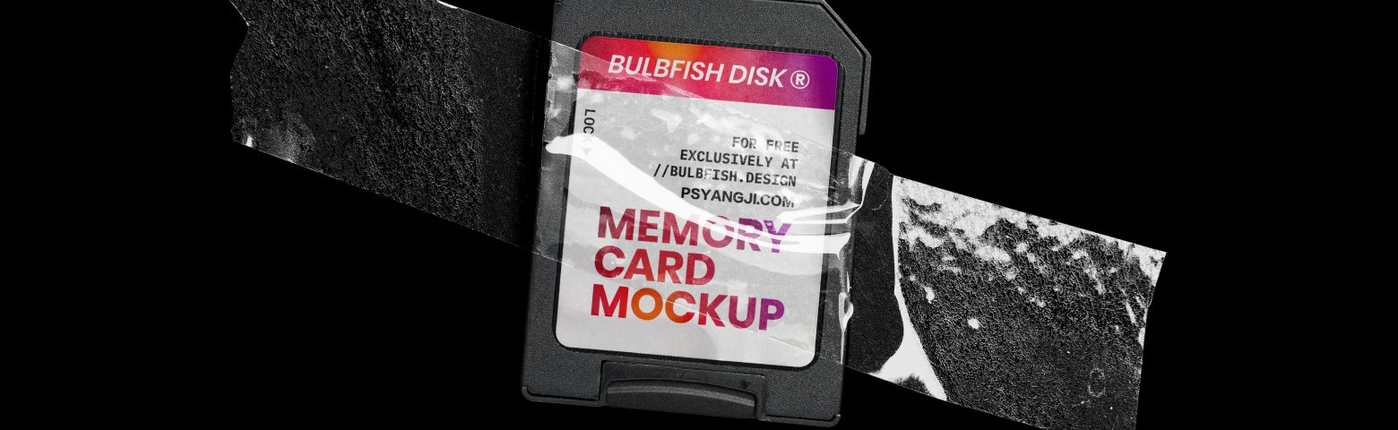 國外高級MOCKUPS，真實質(zhì)感SD數(shù)碼儲存卡PS樣機(jī)